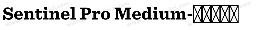 Sentinel Pro Medium字体转换